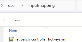 RetroArch controller mapping | RetroBat Wiki